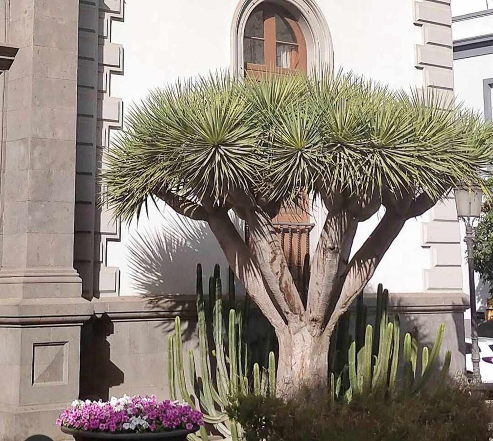 דירות Luxury Flat In Santa Cruz מראה חיצוני תמונה